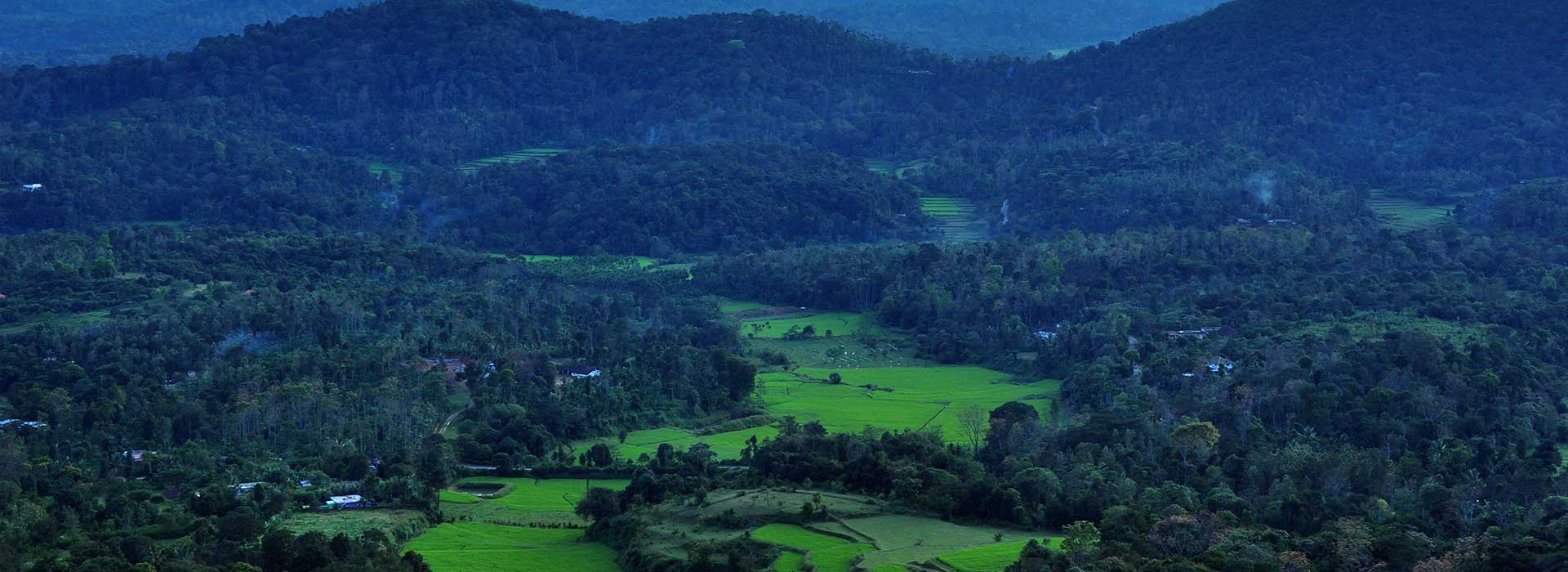 coorg